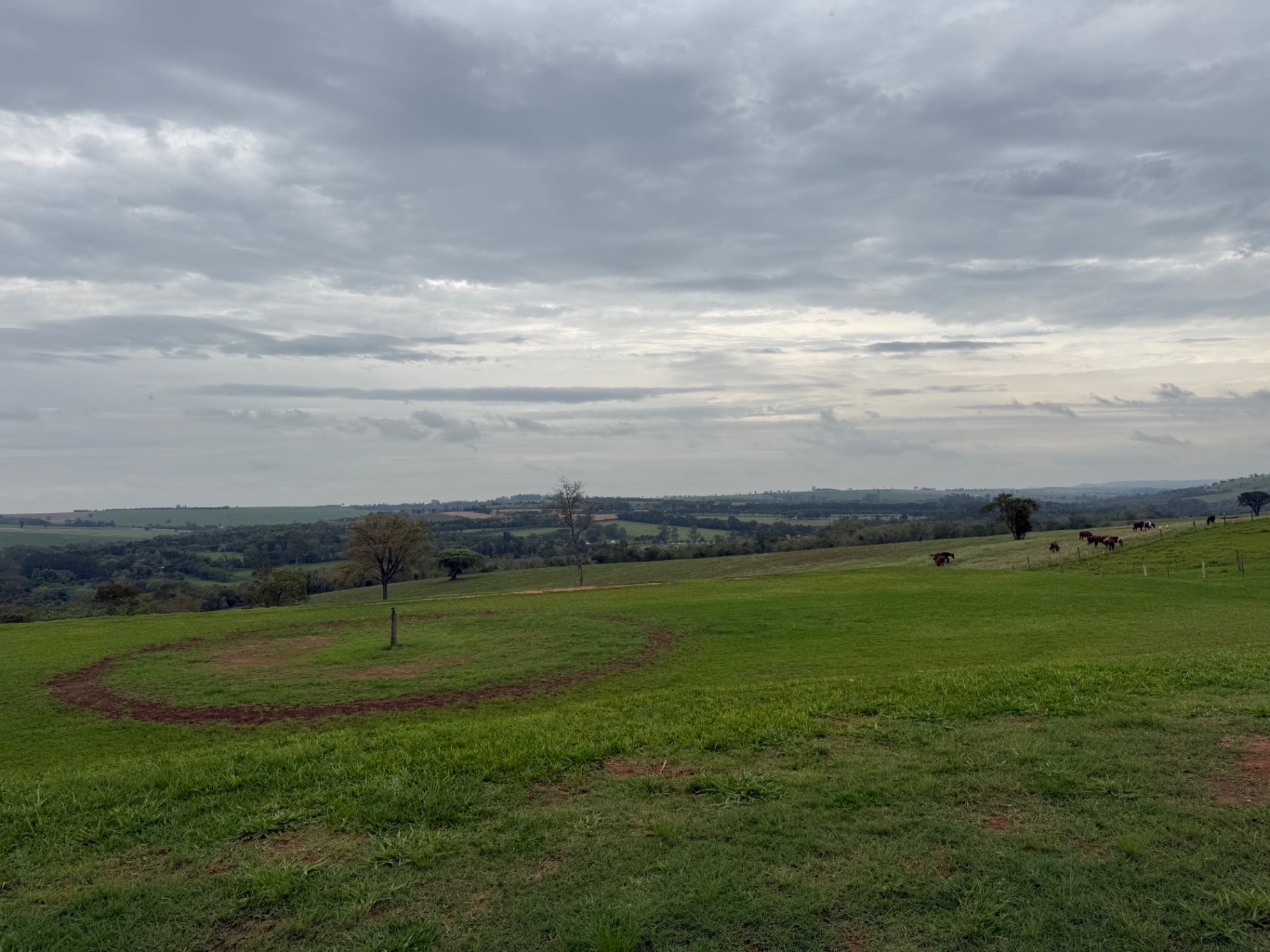 Área Rural · Quadra · Vista principal
