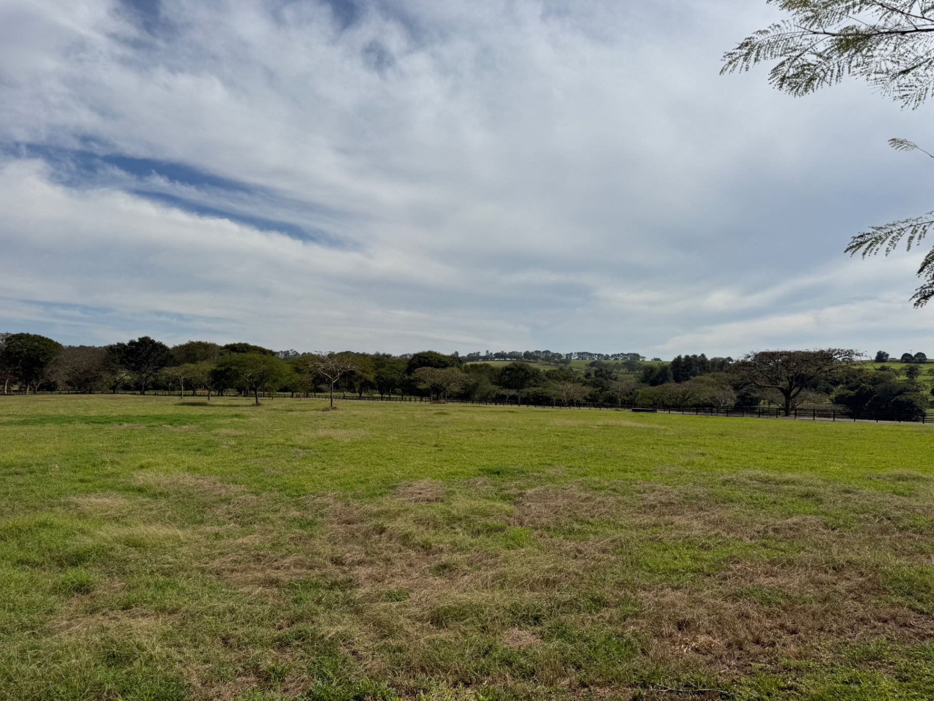 Haras / Estancia Tatui 
