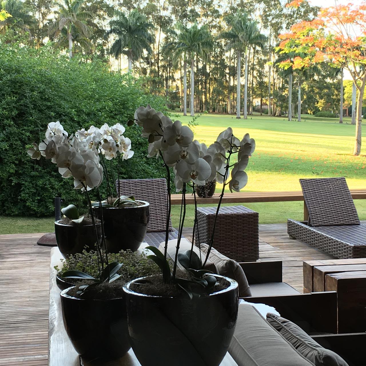 Casa contemporânea com 3 suítes na Vila Fasano, Fazenda Boa Vista