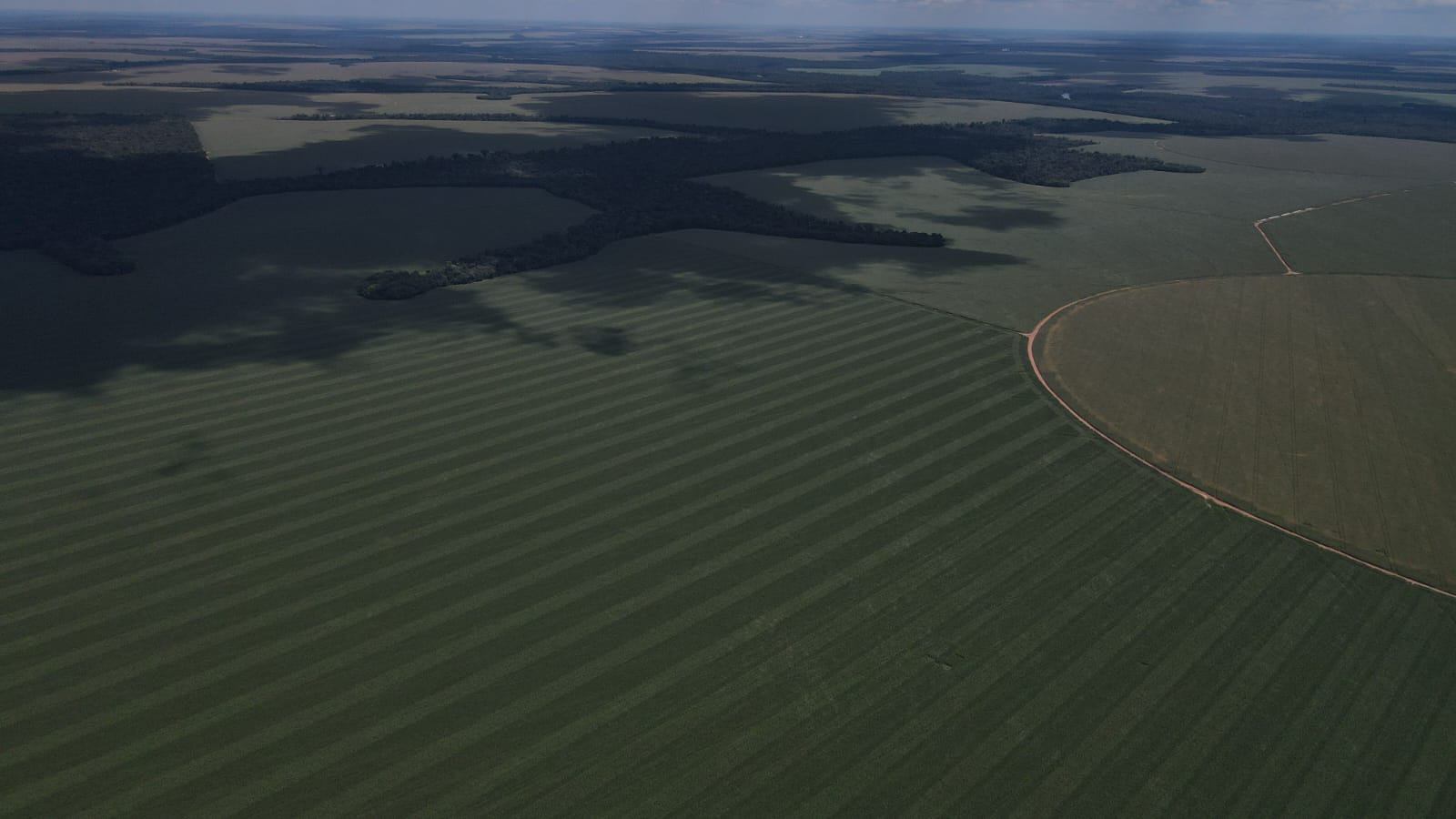 Fazenda no Mato Grosso