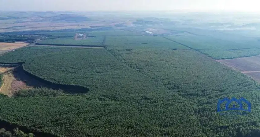 Fazenda em Itu com 321 alqueires Paulista 