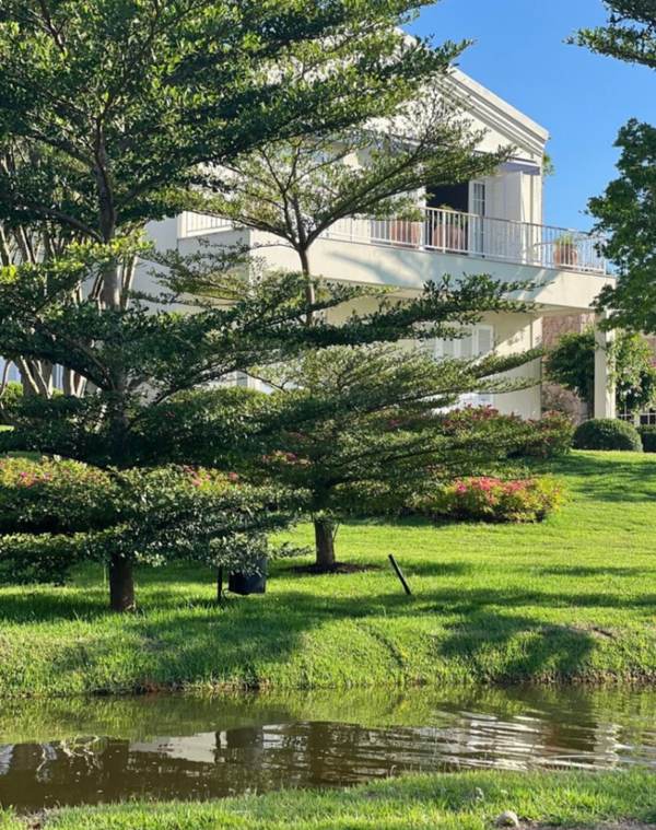 Casa em Condomínio · Jarinu · Perspectiva 9 da propriedade